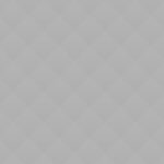 Champion Men's Classic T-Shirt